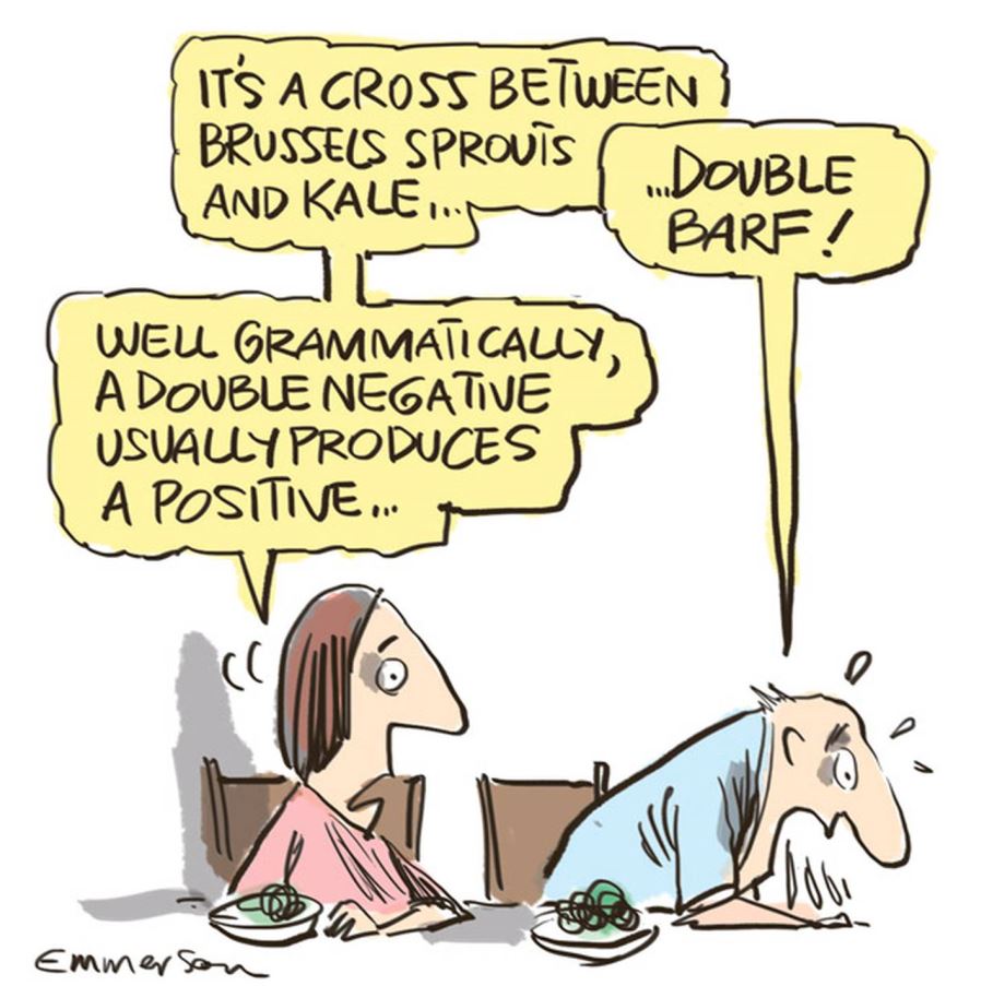 Cartoon by Rod Emmerson, NZ Herald, 5/8/2017